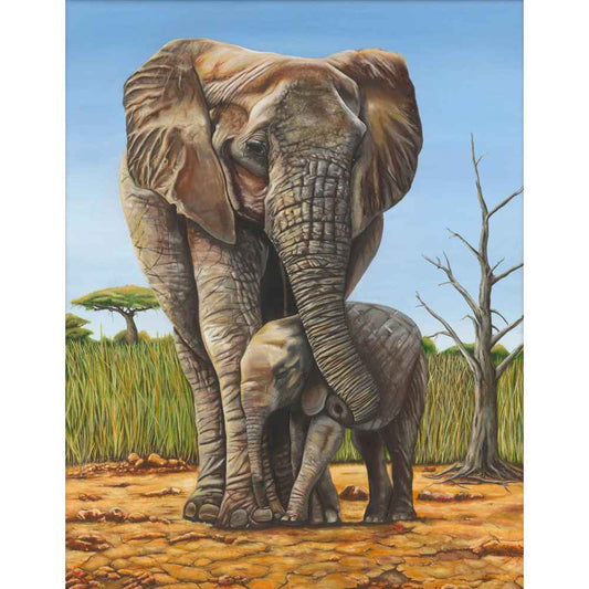 Elephant Wall Art by Ben Stevens