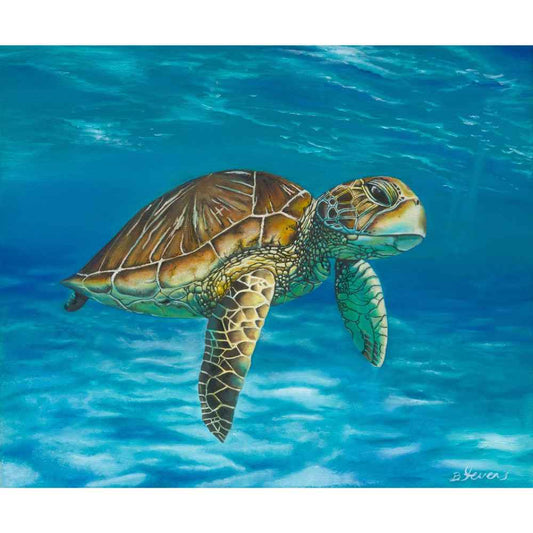 Turtle Wall Art by Ben Stevens