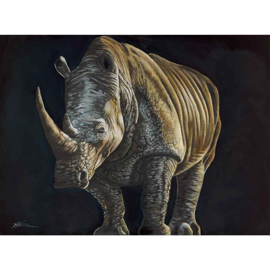 Rhino Wall Art by Ben Stevens
