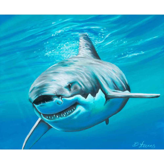 Shark Wall Art by Ben Stevens