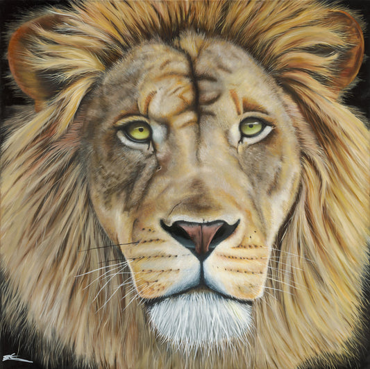 Lion Wall Art by Ben Stevens